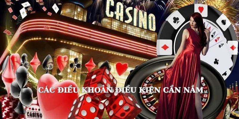 Các điều khoản hội viên cần phải nắm rõ trước khi tham gia cược