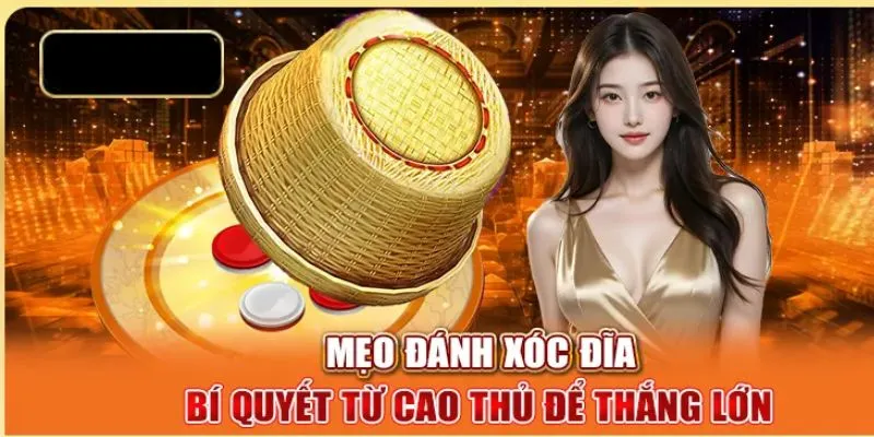 Top các lý do nên tìm hiểu mẹo cược Xóc đĩa