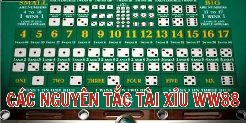 Một số nguyên tắc cơ bản khi tham gia cược