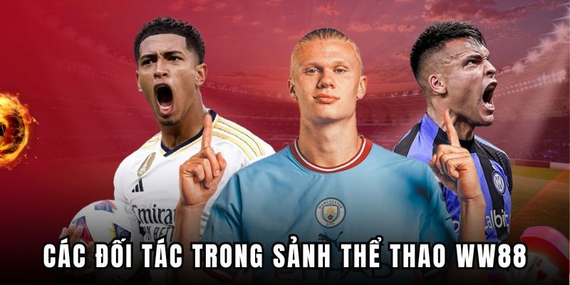 Tìm hiểu những nhà cung cấp trong sảnh của nhà cái