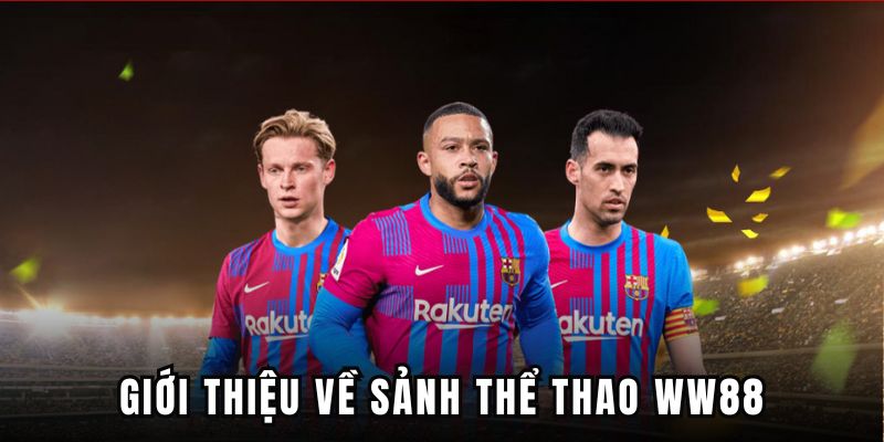 Đôi nét cơ bản sảnh thể thao WW88