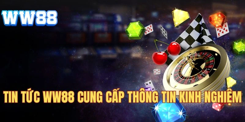 Địa chỉ cung cấp kinh nghiệm giải trí