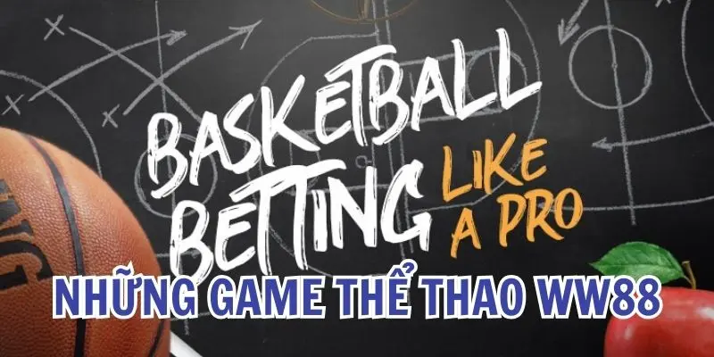 Một vài lựa chọn bạn nên trải nghiệm