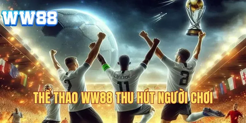 Thể thao thu hút người chơi
